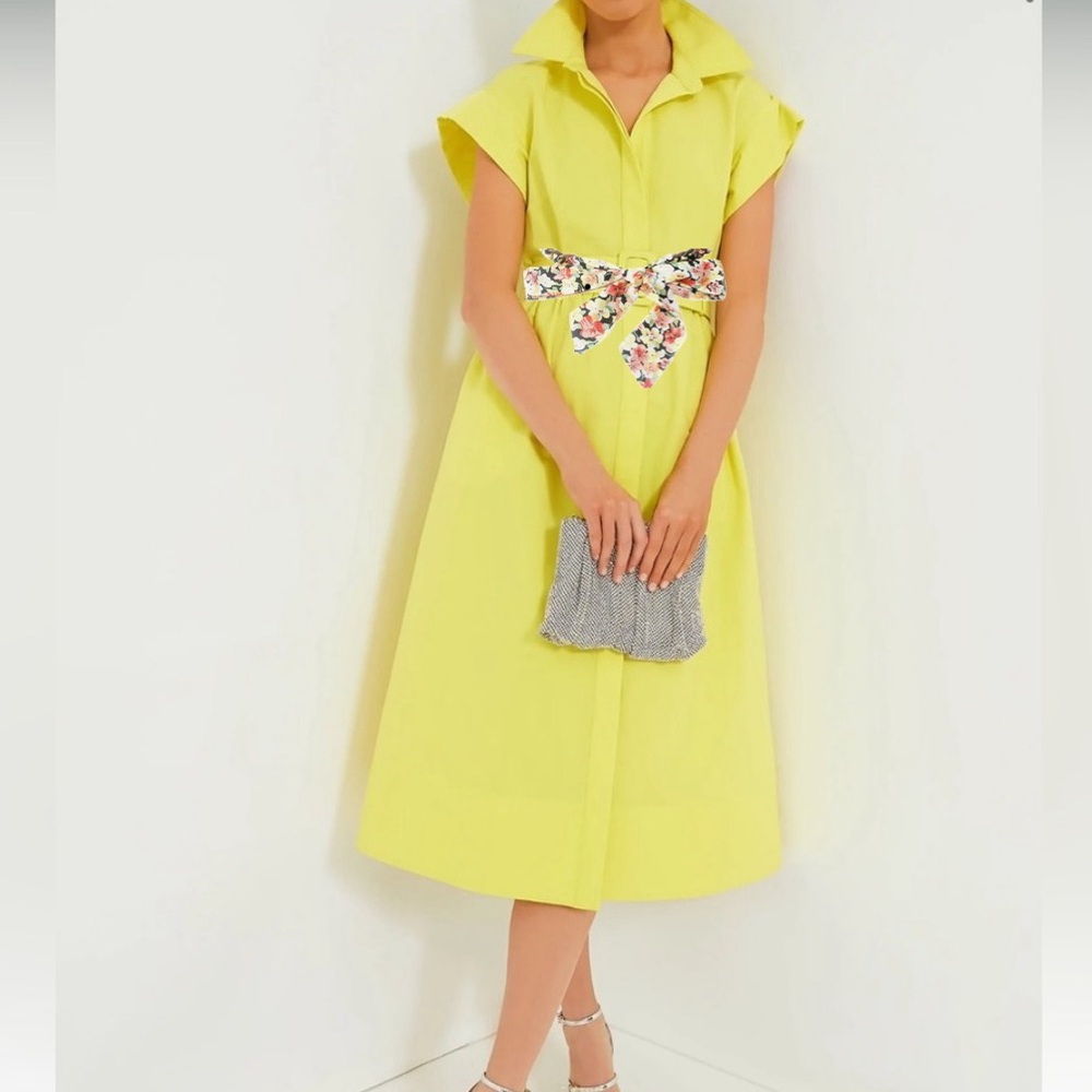 Citron Chloe Dress